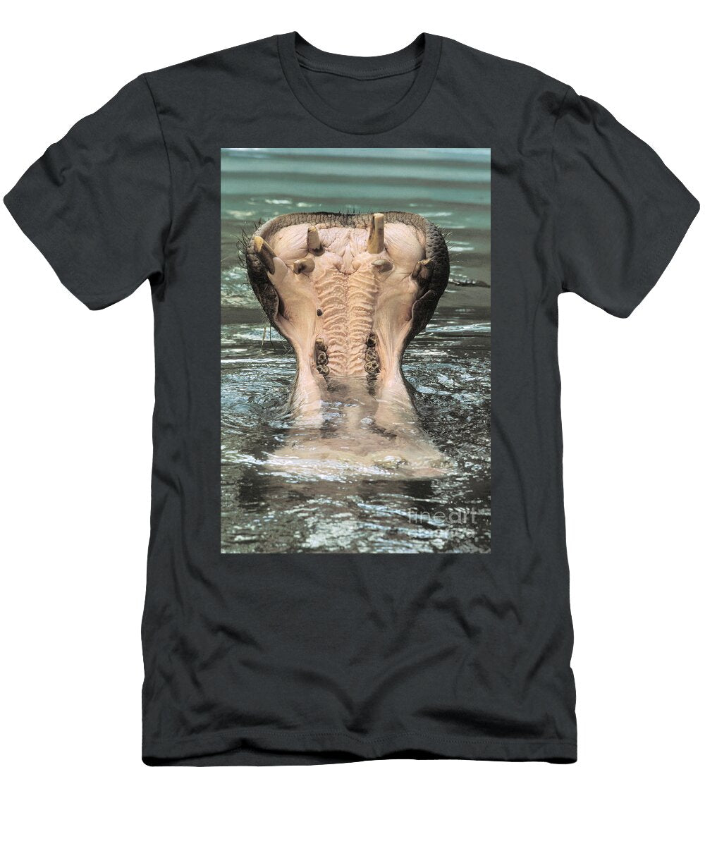 2 Hippopotamus Mark Newman T-Shirt