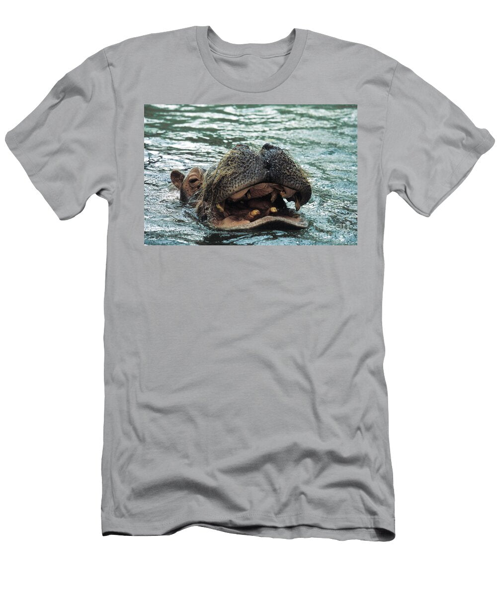 3 Hippopotamus Mark Newman T-Shirt