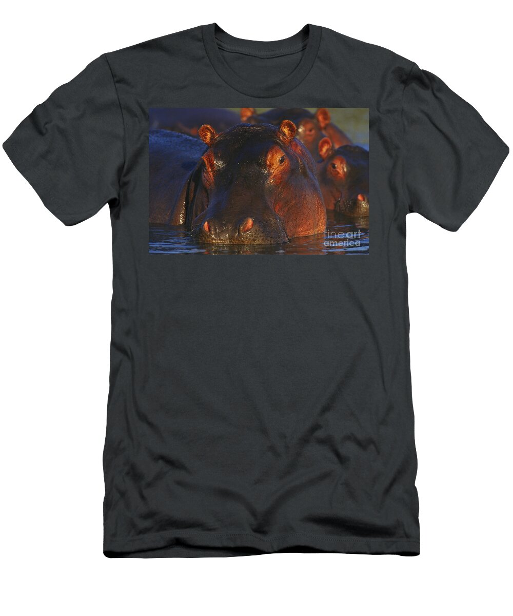 4 Hippopotamus Art Wolfe T-Shirt