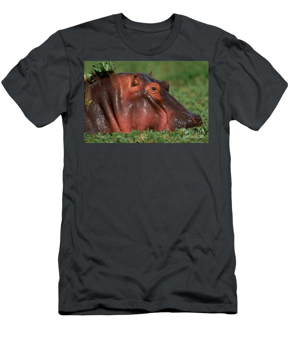 6 Hippopotamus Art Wolfe T-Shirt
