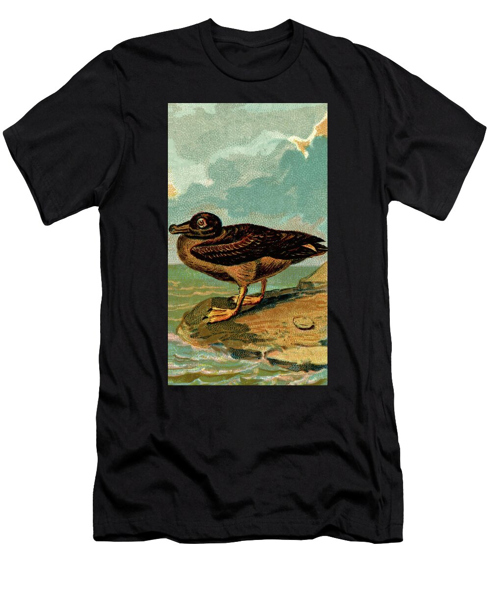Albatross Vintage Animal Illustration Picked and Shared T-Shirt