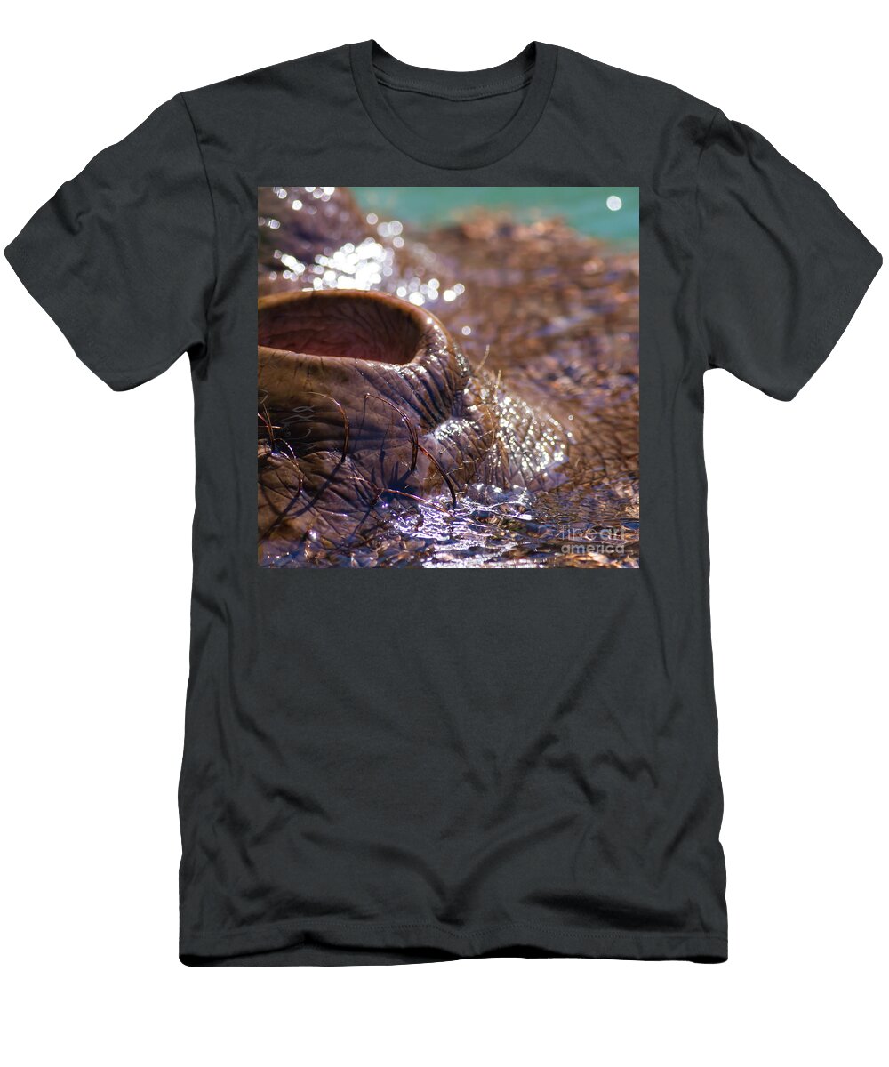 Hippopotamus 7d9108 Wingsdomain Art and Photography T-Shirt