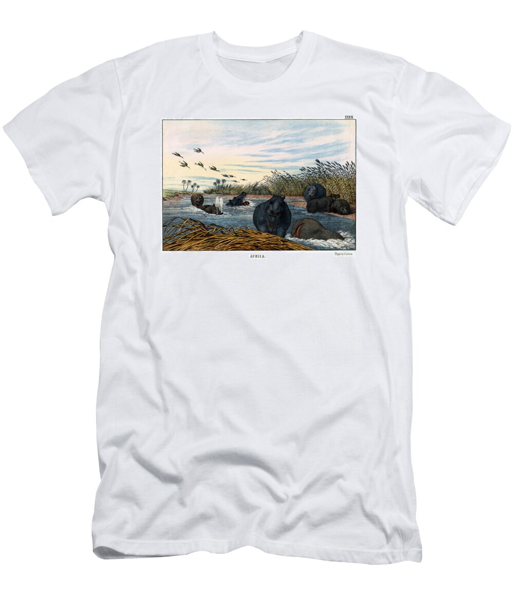 Hippopotamus Splendid Art Prints T-Shirt