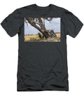 Hungry Male Cheetah Climbing to Check Remains of Impala Kristel Richard Natureplcom T-Shirt