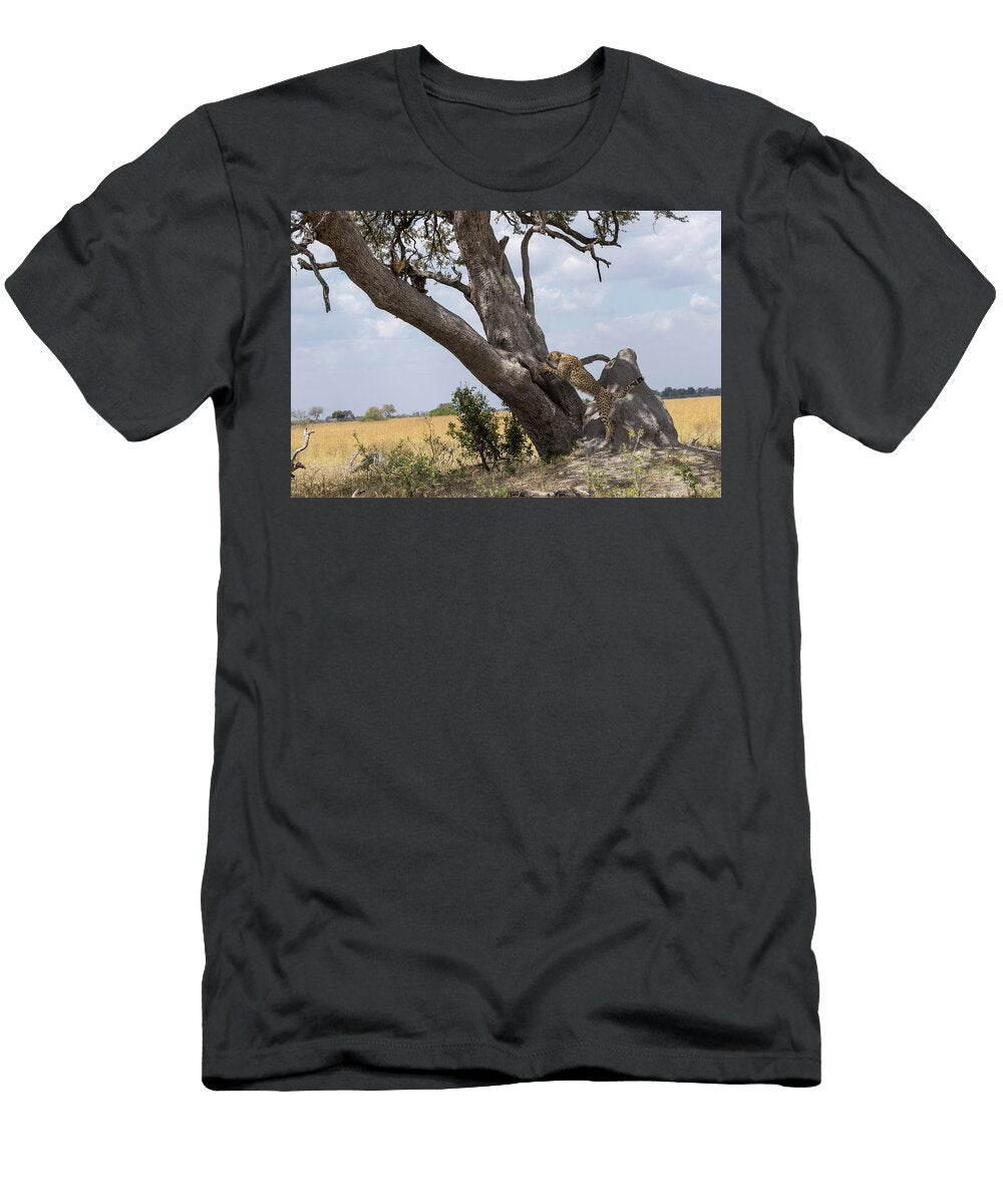 Hungry Male Cheetah Climbing to Check Remains of Impala Kristel Richard Natureplcom T-Shirt